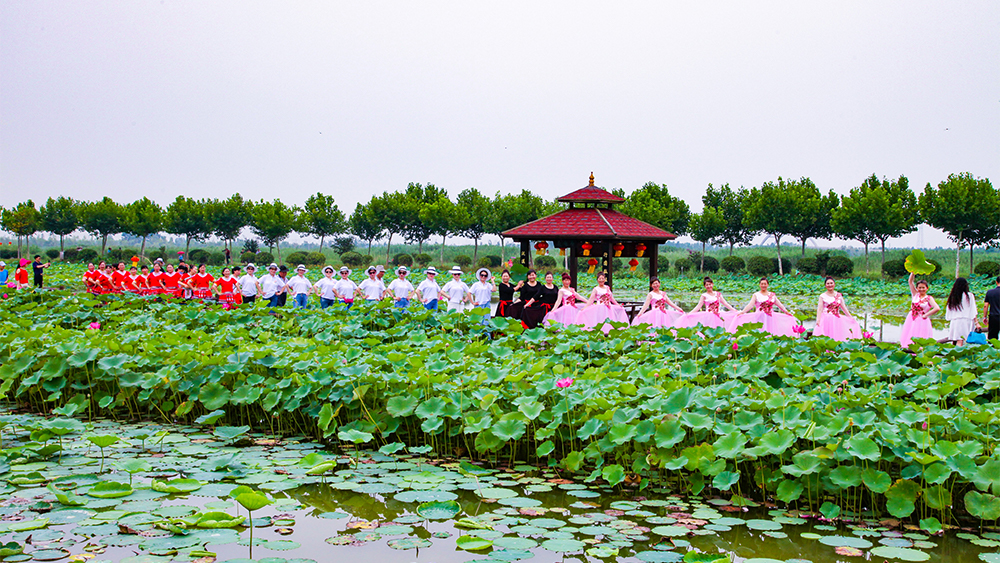 云臺農(nóng)場“云水灣”濕地公園游人如織 (2).jpg