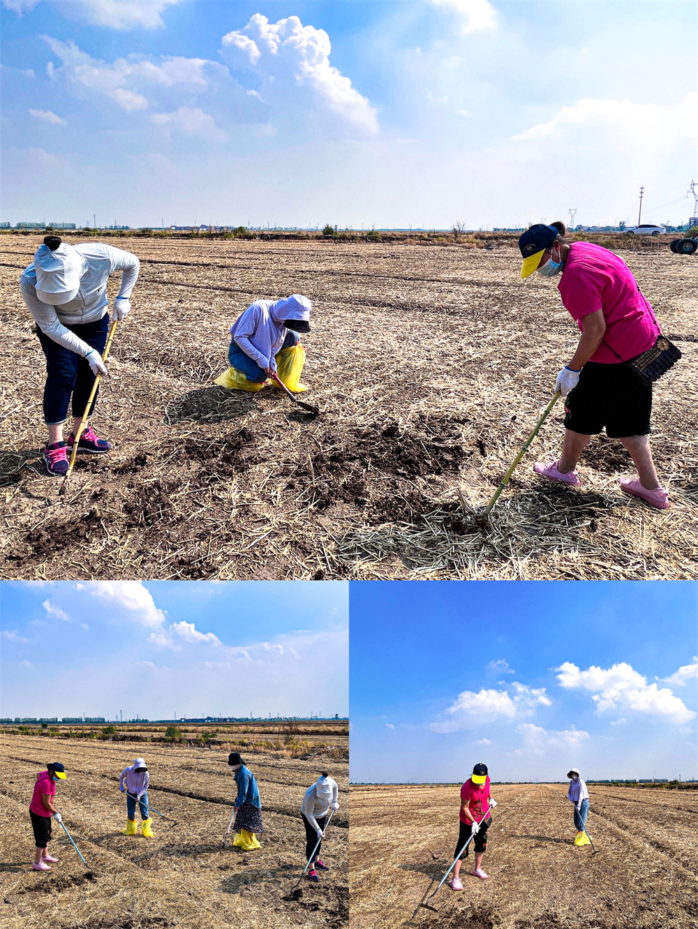 20220615 云臺：黨員干部下田間 志愿服務(wù)我先行.jpg