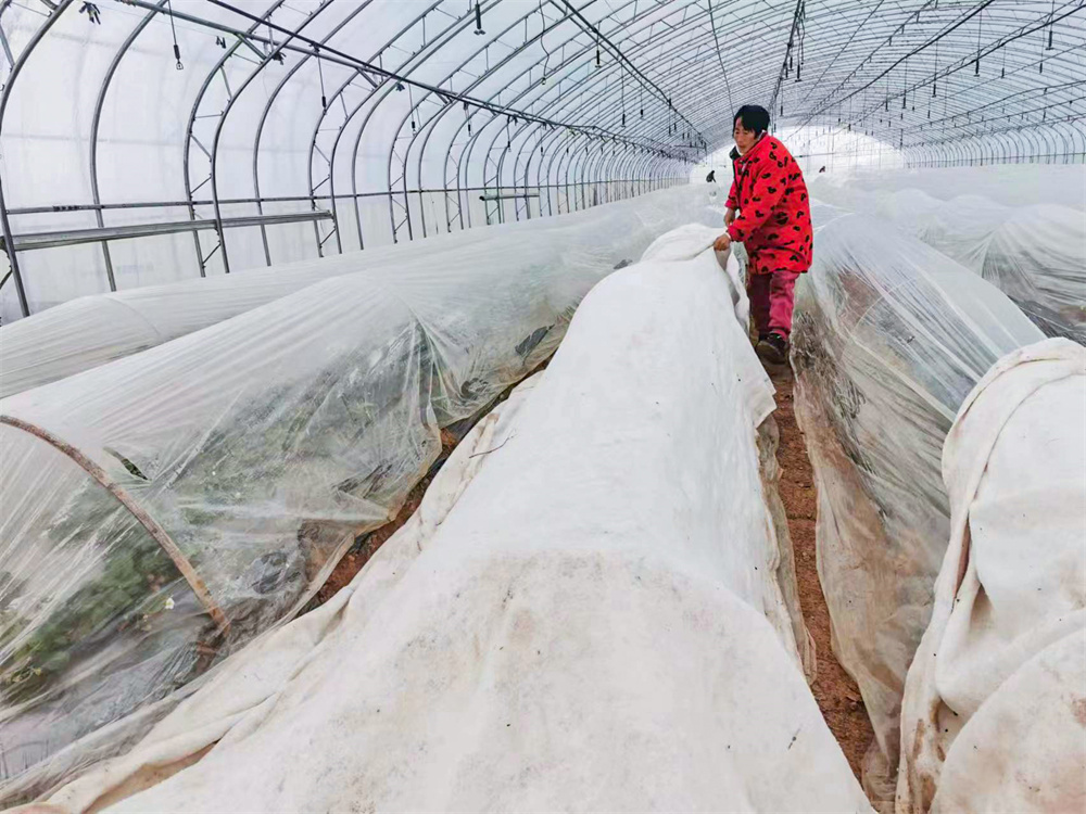 20230114 華緣旅游：多措施積極應(yīng)對低溫雨雪天氣 (4).jpg