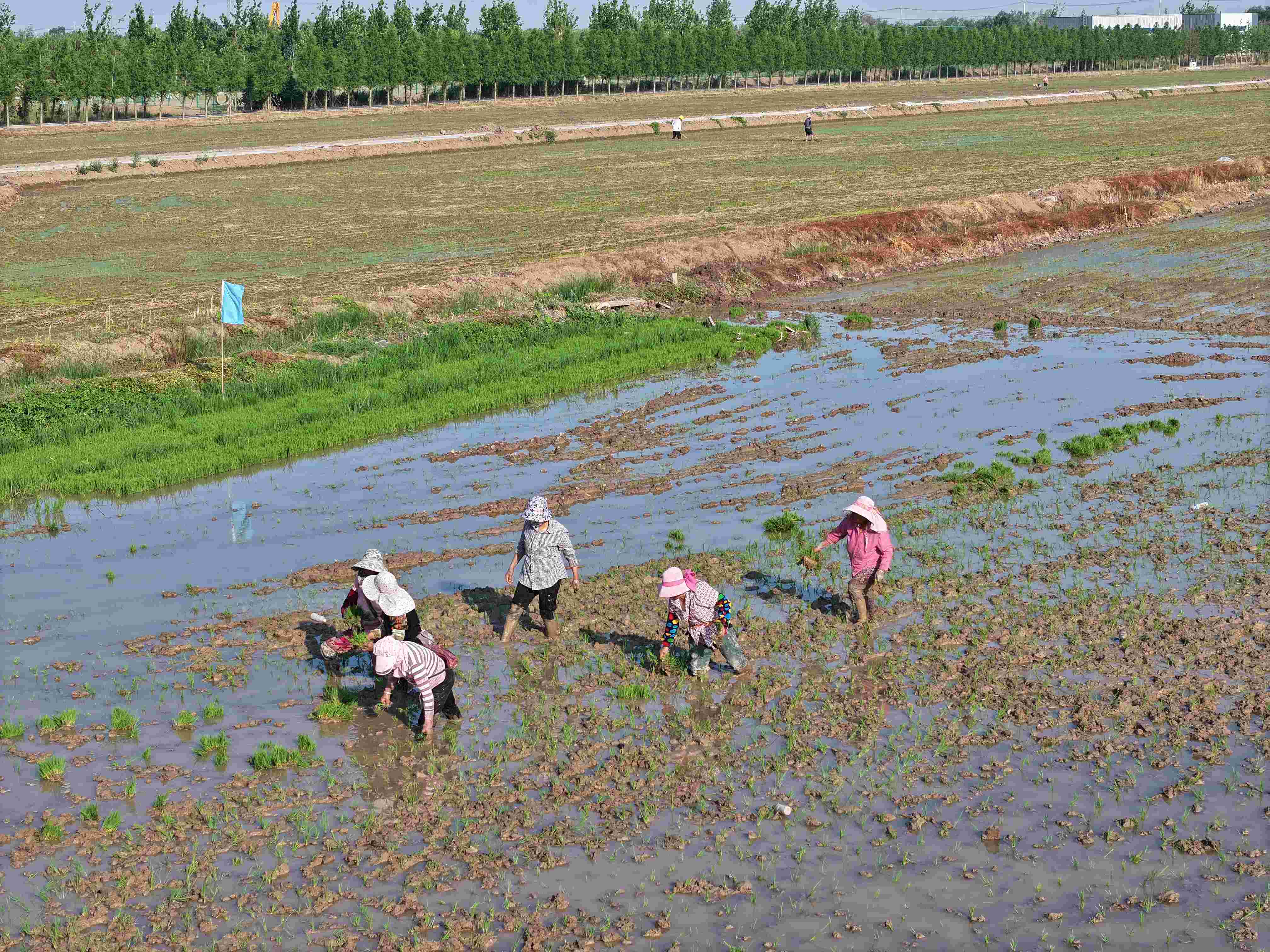 20240618 云臺：讓生態(tài)飯越吃越香(1).jpg