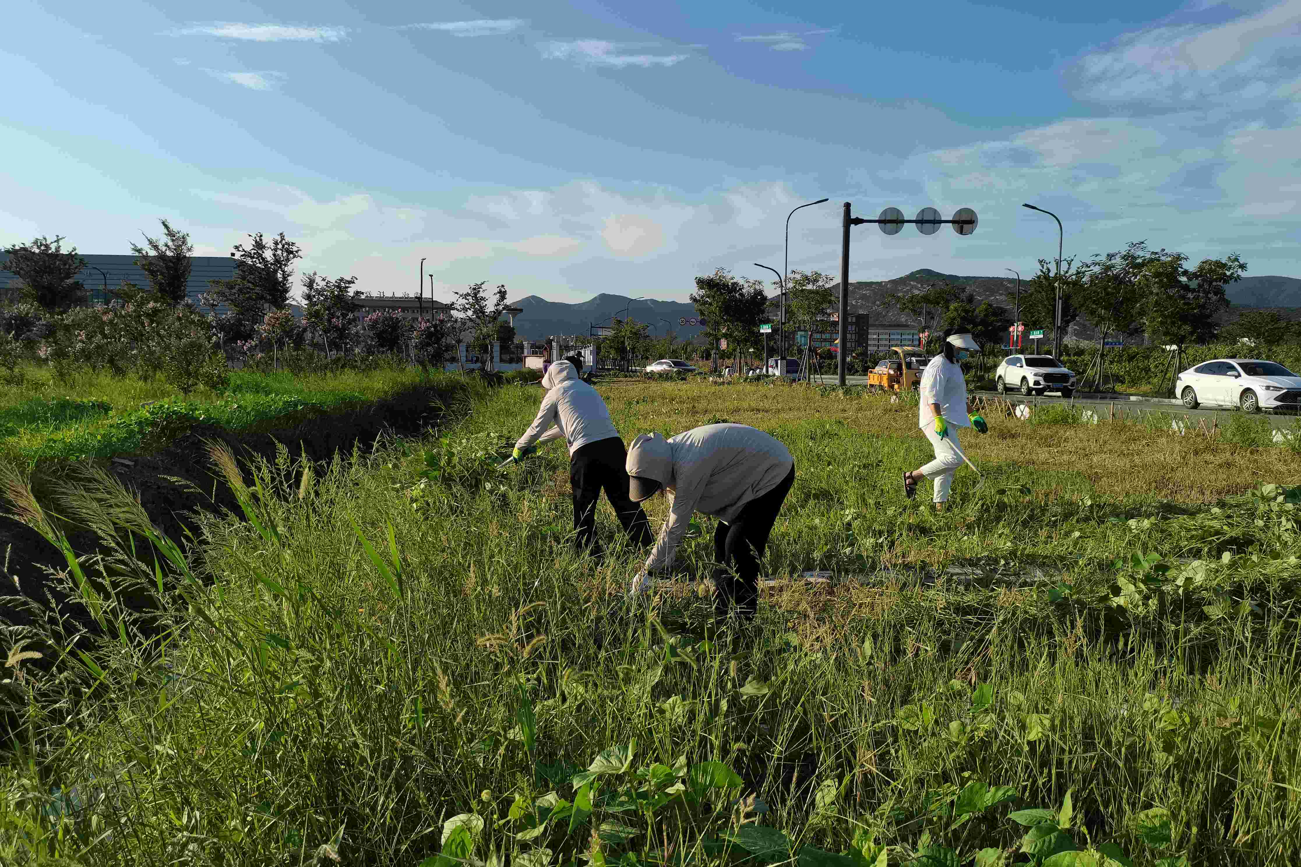 20240909 云龍房產(chǎn)、華泰物業(yè)聯(lián)合開展支部主題黨日活動(1).jpg